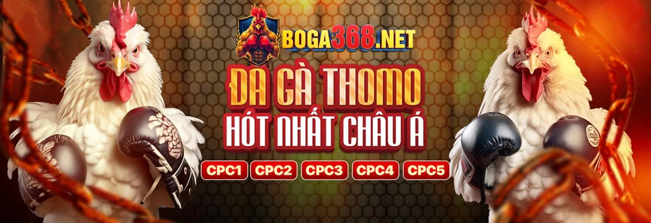 Đá gà trực tuyến 126bet – Sân đấu kịch tính và hấp dẫn